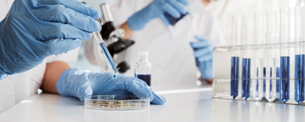 CCL_pharmaceutical-zinc-oxide